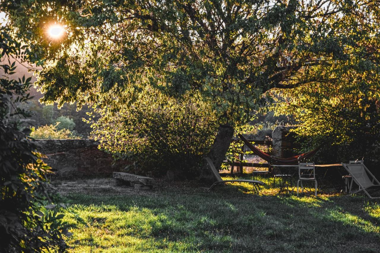 Tiny House Morvan Bourgogne Nature - 2H De Paris Bussieres  Exterior foto